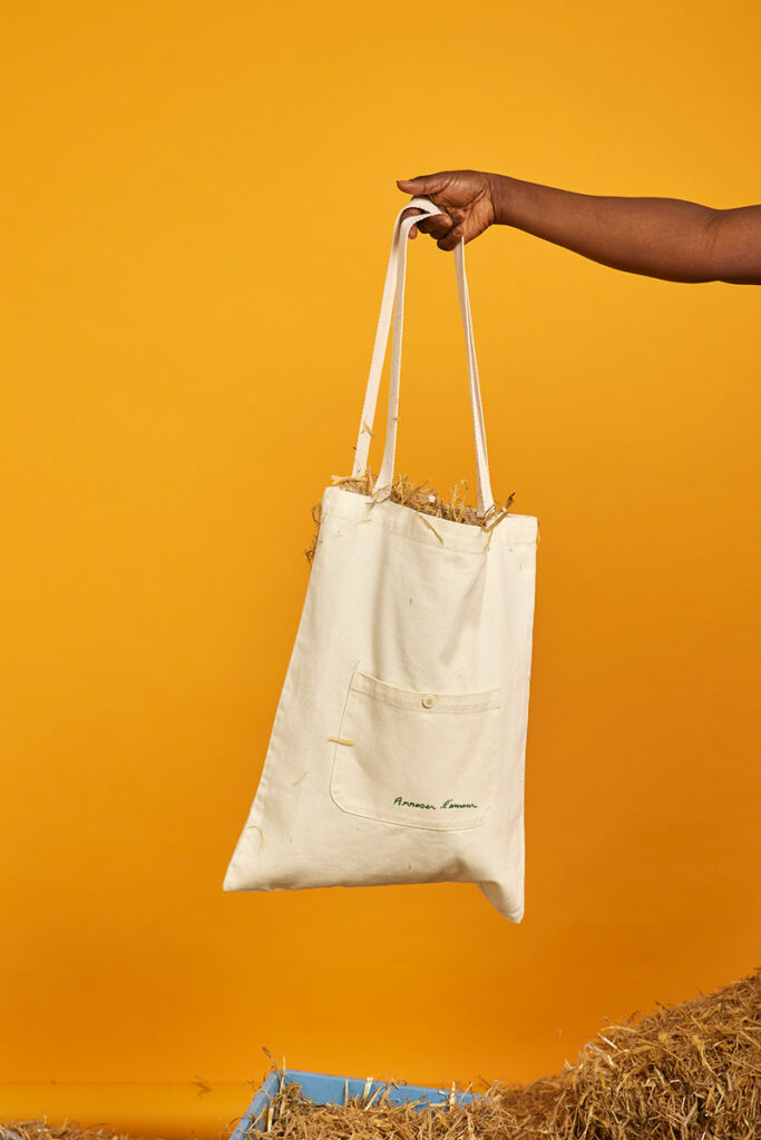 Graine Sac Prairie Ss23pra004